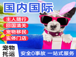 左旗巴彦浩特空运公司国际宠物托运 【国